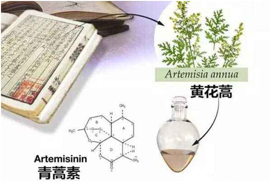 乐动最新官网（中国）官方网站,登录入口：向中医药看齐，与世界共享中医药文化(图1)